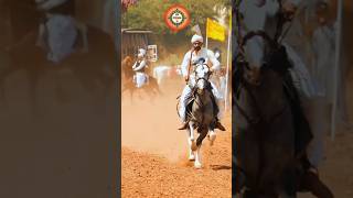 Neza Bazi In Pakistan 2024 nezabazi horseriding youtubeshorts shortvideo horselover gujarkhan [upl. by Nnav838]