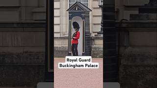 The Royal Guard doesnt smile travel london [upl. by Eelame]