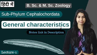 SubPhylum Cephalochordata  general characteristics  In Hindi  B Sc amp M Sc  Zoology [upl. by Jobyna]