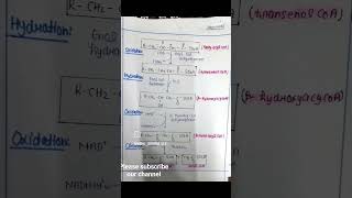 Beta oxidation of fatty acid palmitic acid biochemistry notes unit 3 biochemistry fattyacids [upl. by Yuji]