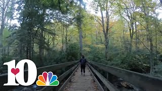 Fall foliage hike to Arch Rock on Alum Cave Trail  10Explores [upl. by Perceval]