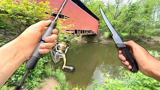 Eating Whatever I Catch Fishing a NEW Creek Catch and Cook [upl. by O'Driscoll843]