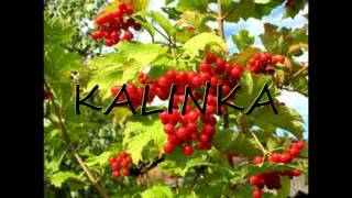 Isa chante quotKalinkaquot [upl. by Ennagroeg]