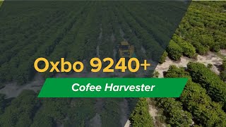 Oxbo 9240  Coffee Harvester [upl. by Erlin742]