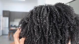 HOW TO DEFINE YOUR 4C NATURAL HAIR IN 10 MINUTES [upl. by Enahsal]