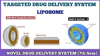 LIPOSOME  Targeted Drug Delivery System TDDS  Novel Drug Delivery System 7th semester [upl. by Ecirtap]