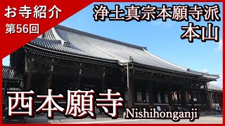 【お寺紹介56】西本願寺・京都 －浄土真宗本願寺派 本山－ 12分でお寺を案内します。 [upl. by Dix]