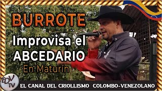 💥BURROTE IMPROVISA EL ABCEDARIO EN MATURIN💥músicallanera lomejordelllano joropo [upl. by Weitzman446]