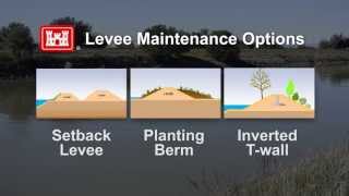 Levee Safety in Californias Central Valley Levee Vegetation [upl. by Shifra]