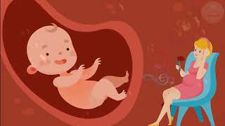 🎵🎵🎵 Pregnancy music for unborn baby ♥ Brain development ♥ Baby kick in the womb 🎵🎵🎵 [upl. by Llemart]