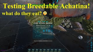 Testing Breedable AchatinaSnail  Breeding Achatina ARK Survival Evolved [upl. by Ecyak970]