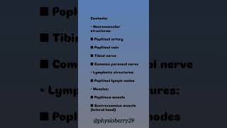 POPLITEAL FOSSA 😱💯anatomy physioberr29 [upl. by Berke]