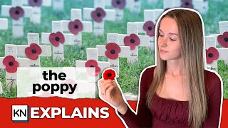 Why do people wear a poppy on Remembrance Day  CBC Kids News [upl. by Akived]