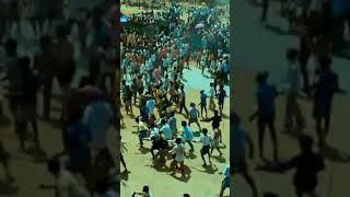 Vamsam Movie  WhatsApp status tamil  Jallikattu [upl. by Shurwood]