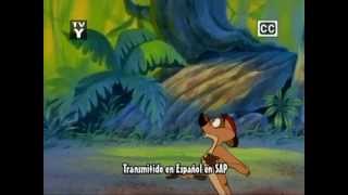 Disney  The Lion Kings Timon amp Pumbaa  Intro Multilanguage Part 1 [upl. by Ahsiekim]