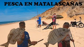 PESCA SURFCASTING SARGOS EN MATALASCAÑAS [upl. by Annal]