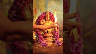 Swamy ayyappa whatsapp status tamil ayyappa shortvideo shorts god [upl. by Thorfinn]