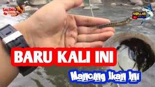 IKAN KECIL INI BANYAK DIBURU‼️‼️ MANCING ikan uceng [upl. by Nnayar366]