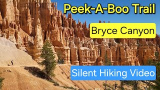 PeekABoo Hike Bryce Canyon National Park hiking hikingadventures nationpark [upl. by Eenolem]