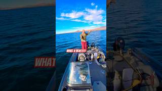 MONSTER Catch Dual HookUp Striped Bass outdoors fishing explore bigfish adventure [upl. by Ayotnahs]