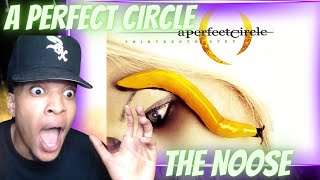 MAYNARD is INSANE A PERFECT CIRCLE  THE NOOSE  REACTION [upl. by Tehr358]