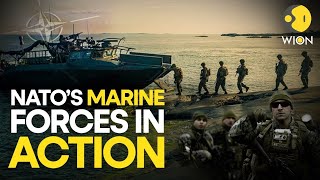 NATO’s Marine forces in action On land and sea  World English News  NATO Live  WION Live [upl. by Armalda449]