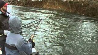 steelhead fishing on satsop river [upl. by Etnoed]