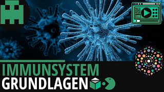 Immunsystem Grundlagen│Biologie Lernvideo Learning Level Up [upl. by Seta]