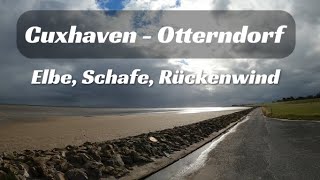 Cuxhaven  Otterndorf Elbe Schafe RückenwindRadtour vor dem Deich [upl. by Bekha]