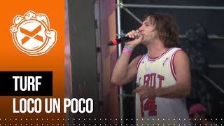 Turf  Loco un poco en vivo en COSQUIN ROCK 2019 [upl. by Ahsets599]