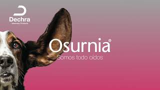 Tratamiento otológico para la otitis aguda en perros con Osurnia® [upl. by Kerek]