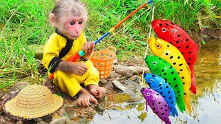 Bin Bon duck Monkey Baby Kittens Puppy Goes Koi Cat And swims Rabbits Animals Eats Egg Muckbang Asmr [upl. by Wolfram]