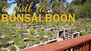 Visit to Boons Bonsai Nursery [upl. by Gregson177]