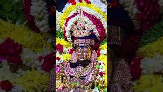 ஓம் நமசிவாய l Sivan Video sivan shiv Tiruvannamalai annamalaiyar girivalam arunachalam lord [upl. by Arrec]