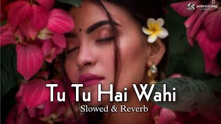 Tu Tu Hai Wahi Slvwed amp Reverb  Kishore Kumar  Asha Bhvsle  Tu Tu Hai Wahi Dil Ne Jise Apna Kaha [upl. by Tanya]