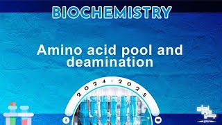 Rev of L27 Protein metabolism amino acid pool Oxidative deamination of amino acids Biochemistry [upl. by Wilder]