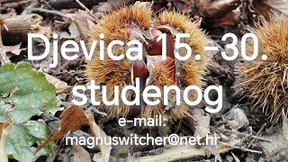 Djevica 1530 studenognovembra [upl. by Ennazus899]