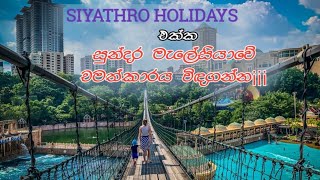 Malaysian Tour July 2024  Siyathro Holidays [upl. by Sanford]