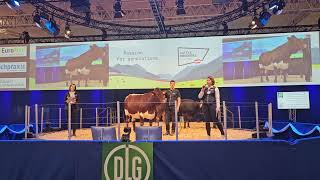 EUROTIER Präsentation Grauvieh und Pinzgauer mit Anna Koiner und Stefanie Zottl [upl. by Ariamoy]