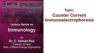 Immunology  VT4 Countercurrent Immunoelectrophoresis [upl. by Lupiv718]