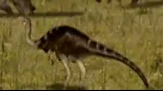 Ornithomimus Roar When Dinosaur Roamed America [upl. by Eidoc655]