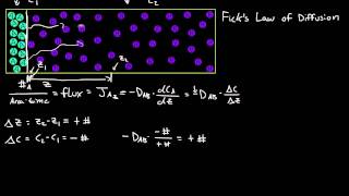 Ficks First Law of Diffusion [upl. by Routh280]