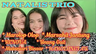 NATALIS TRIO Lagu Batak Goyang  Agave Musik Sidikalang [upl. by Margreta858]