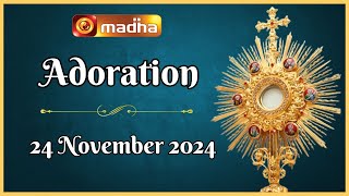 🔴 LIVE 24 November 2024 Adoration 1100 AM  Madha TV [upl. by Atiken]