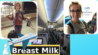 HOW TO PUMP ON A PLANE  Traveling with BREAST MILK [upl. by Proctor]