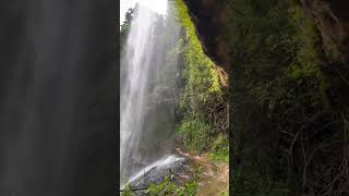 Salto Suizo in Southamerica netflix cover travel waterfallnature shorts homelandertourism [upl. by Magnuson]