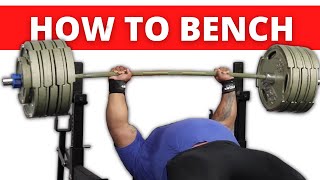 The ULTIMATE Bench Press Tutorial Feat Julius Maddox [upl. by Jim]