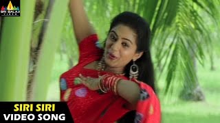 Pellaina Kothalo Songs  Siri Siri Muvvalle Video Song  Jagapathi Babu  Sri Balaji Video [upl. by Porche992]