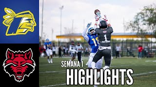 Indios UACJ vs Red Wolves ASUQ Highlights  Semana 1  Liga Mayor ONEFA 2024 [upl. by Pauletta]