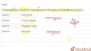 Chasmogamous as well as cleistogamous both types of floweres are found in [upl. by Neiviv]